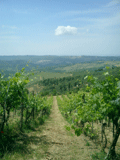 chianti